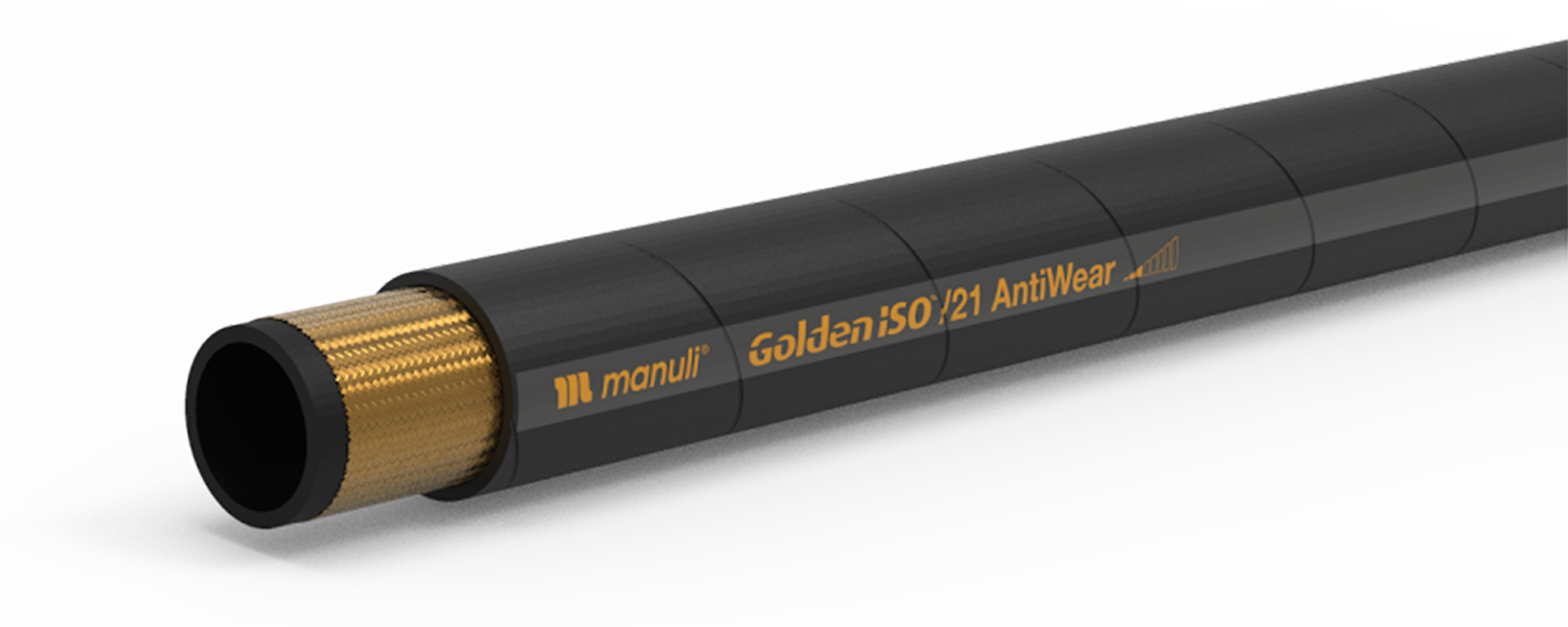 Goldeniso/21