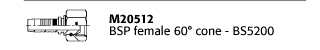 M20512 BSP female 60° cone - BS5200
