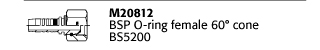 M20812 BSP O-ring female 60° cone BS5200