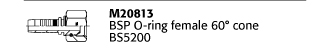 M20813 BSP O-ring female 60° cone BS5200
