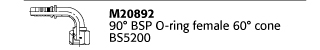 M20892 90° BSP O-ring female 60° cone BS5200