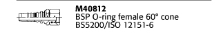 M40812 BSP O-ring female 60° cone BS5200/ISO 12151-6