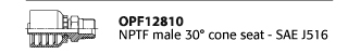 OPF12810 NPTF male 30° cone seat - SAE J516