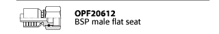 OPF20612 - BSP male flat seat