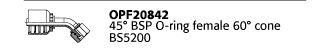 OPF20842 45° BSP O-ring female 60° cone BS5200