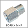 6404 - Female O-Ring Boss (ORB) x Male NPT Steel Adapter