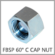 MBS304-C-O - Female BSPP 60 Degree Cone Steel Cap Nut