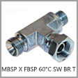 MBS6600-O - Male BSPP 60 Degree Cone x Female BSPP 60 Degree Cone Swivel Steel Branch Tee